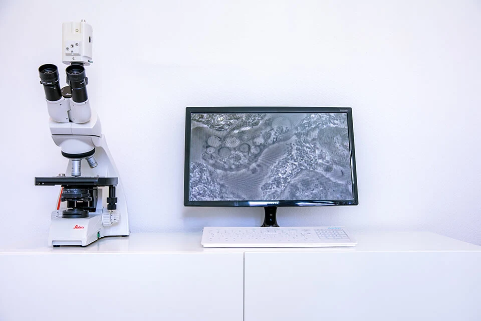 Microscope d’analyse à platine, relié à un écran affichant une observation agrandie.