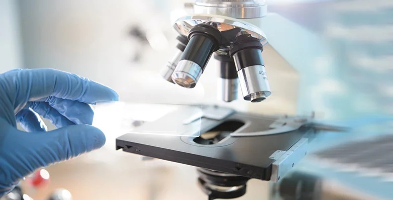Microscope d’analyse utilisé pour observer le prélèvement de plaque